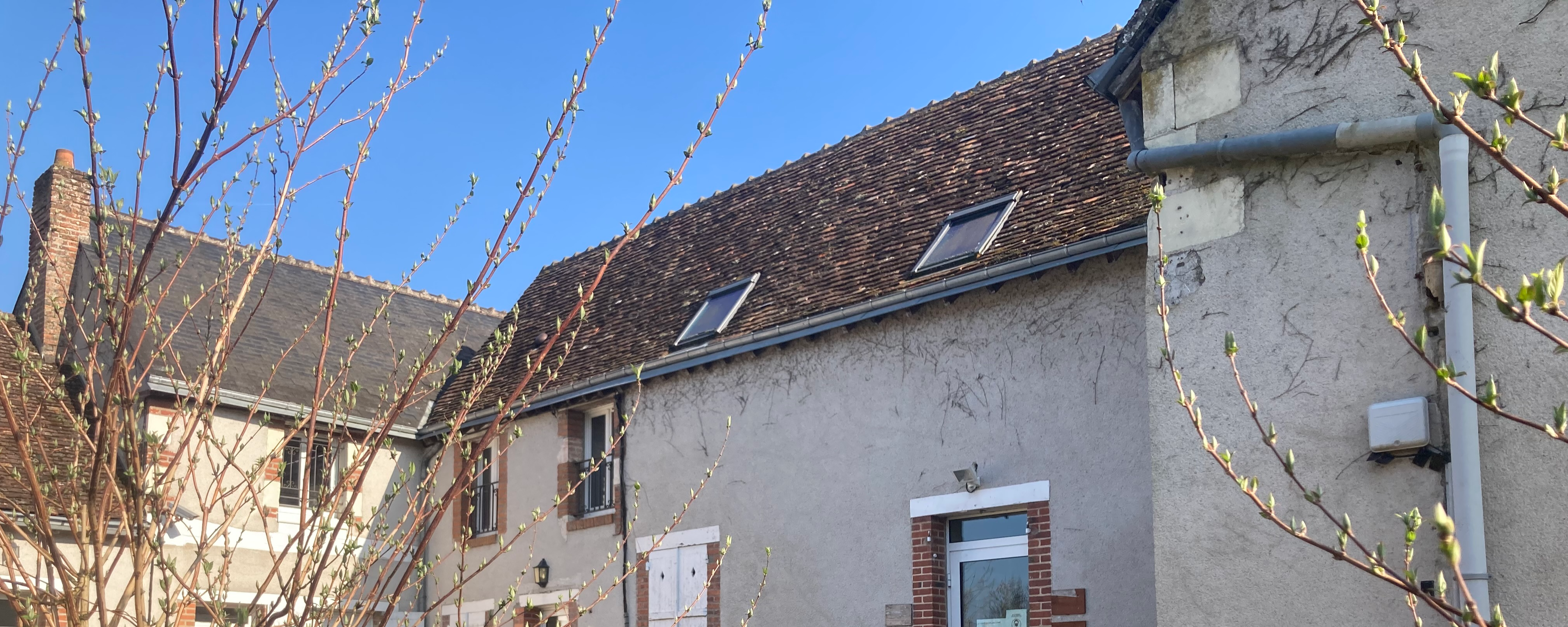 Bannière ( image de couverture )