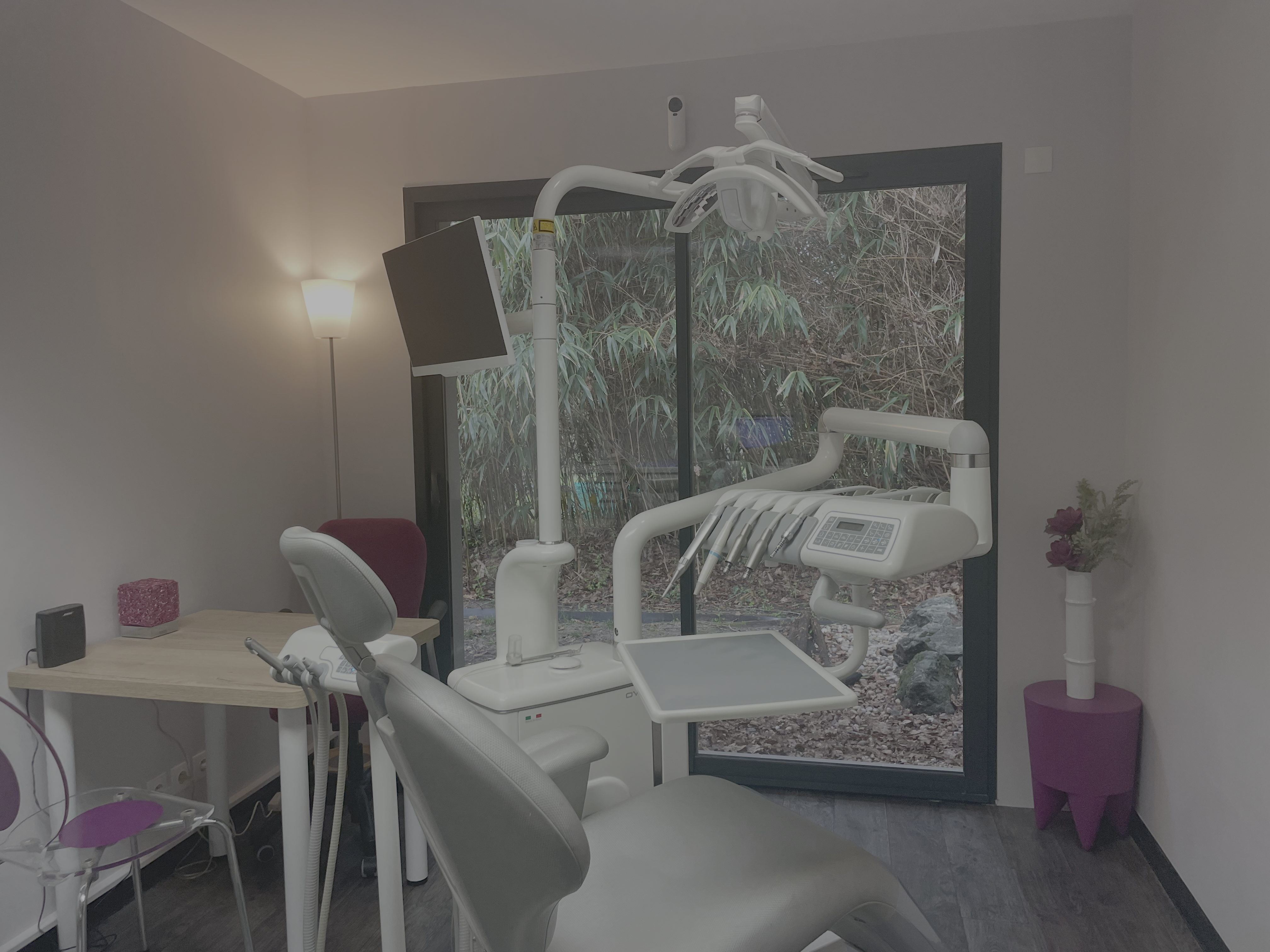 Photo / Illustration