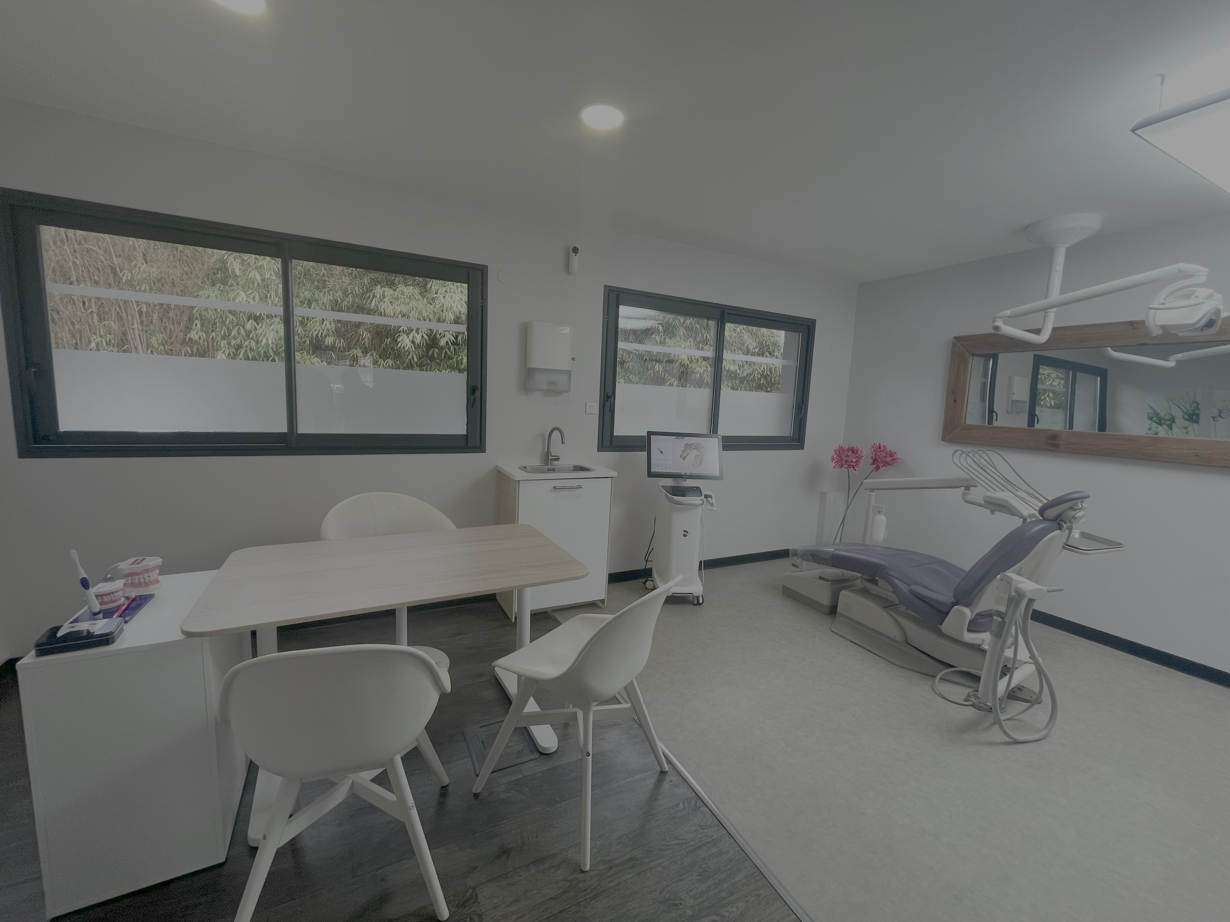 Photo / Illustration