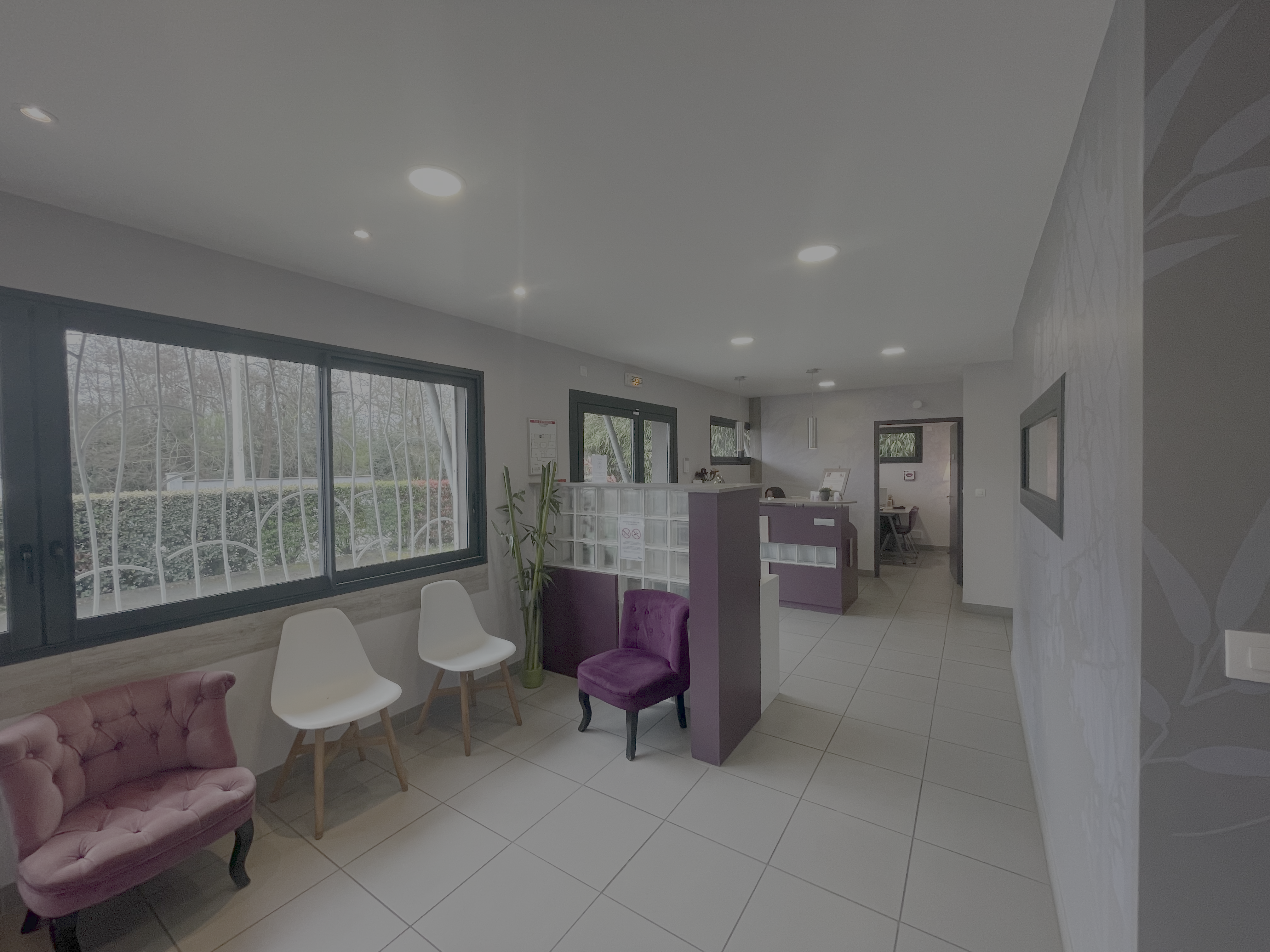 Photo / Illustration