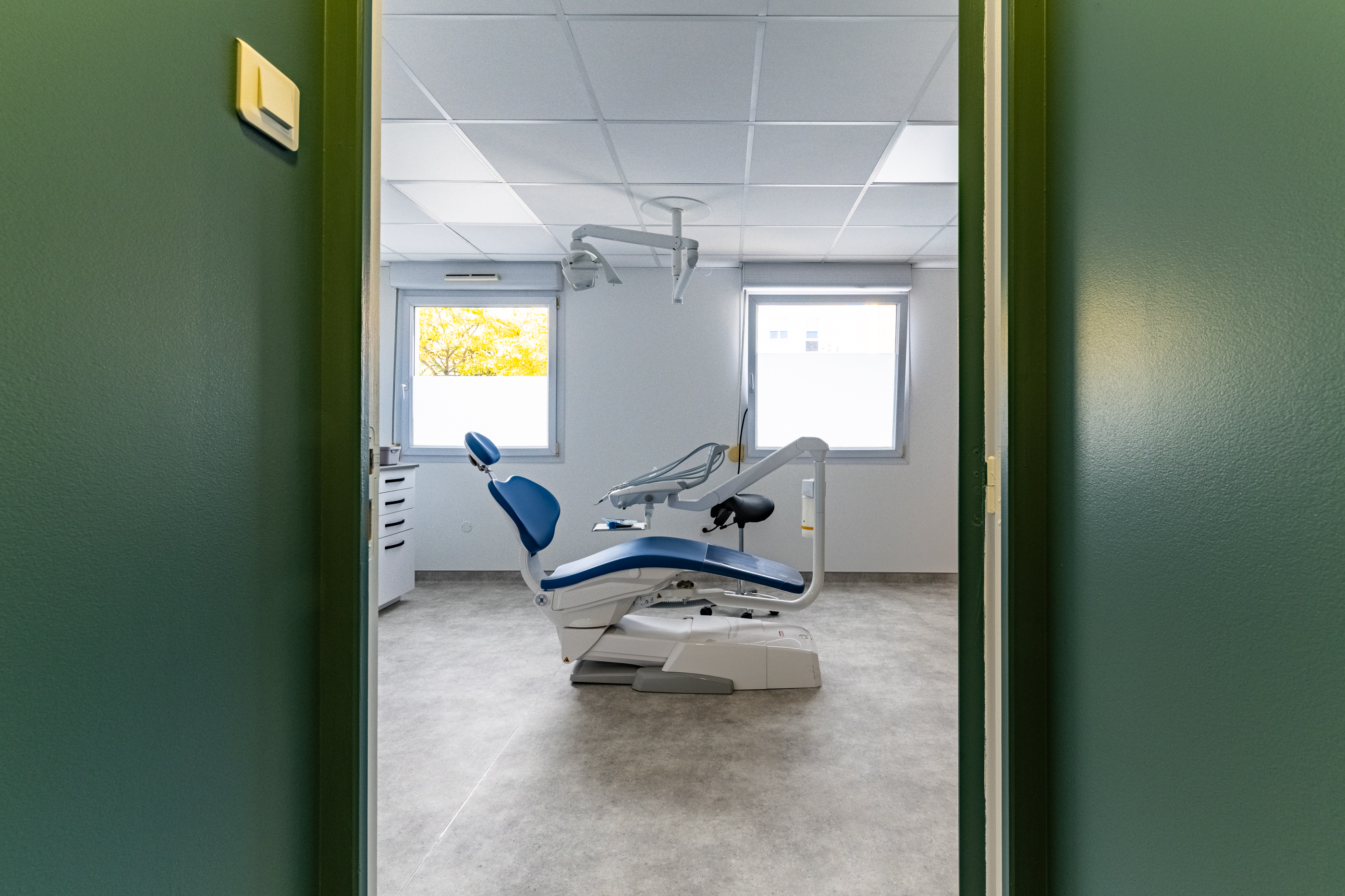 Photo / Illustration